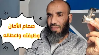                                                             دندنها