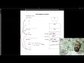 Stack vs Heap Memory Static Vs Dynamic Memory Allocation