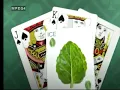 Download Lagu la menthol card