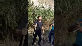 أسمع مجوز  باسل عبود مع الفنان الكبير طلال شبول  أسمع االطرب دندنها