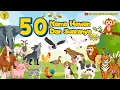 Lagu 50 Nama Hewan dan Suaranya - Belajar Mengenal Nama Hewan dan Suaranya