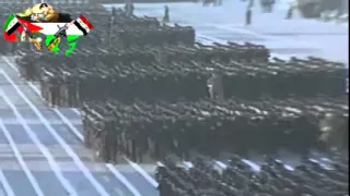 إنشودة دايمين دايم وطنا بيكم داوود القيسي 