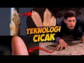 Download Lagu Tidak Ada Teknologi Sehebat Kaki Cicak. Spider-Man Pun Kalah | Nanoteknologi Di Kaki Cicak