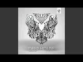Download Lagu P.L.M. [Mix Cut] (Original Mix)