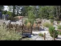 Raptor Falls