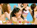 Download Lagu SPR48 - Labrador Retriever (Bahasa Indonesia)