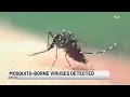TV5 News Update Saturday morning June 20