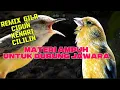 Lagu CETAK MATERI BURUNG JAWARA | ROLL TEMBAK TANDES kenari, ciblek gunung, cililin