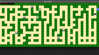 The Maze