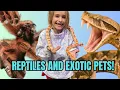 Deadly Vipers Giant Spiders More We went to Louisiana s Biggest Reptile Expo HERPS Slidell