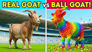 The mascot vibrato Goat placed on the football field