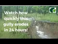Gully Erosion See How Quickly it Can Happen