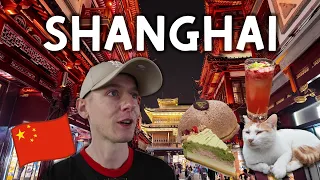我在龙华寺发现了猫咪天堂，夜探豫园市场