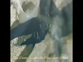 Download Lagu Burung walet kawin di dlm goa dan BW birahi dgn suara cuitan aslinya asli suara BW di dalam Rbw