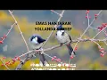 Download Lagu Emas Hantaran || lirik video, berakhir sudah impian cinta tinggal puing-puingnya