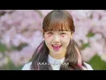 [韓繁中字] Bookku Ddoong 부끄뚱 - Ssook Ddoong 쑥맥 (Feat. Choi Yoo Jung 최유정) 4K MV (韓中歌詞 | 한글 가사 | Lyrics)