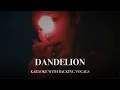 Download Lagu dandelion - karaoke with backing vocals Ariana Grande