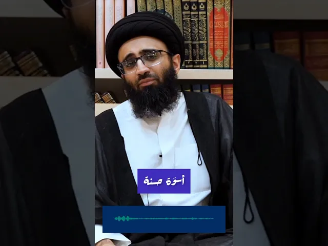 لَقَدْ كانَ لَكُمْ فِي رَسُولِ اللَّهِ أُسْوَةٌ حَسَنَةٌ | السيد علي أبو الحسن