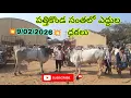 Lagu ##Pathikonda monday bulls market//Prices of bulls in Pathikonda market and their details//