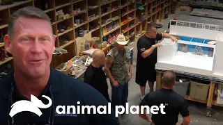 Expansão do projeto: Quatro tanques em produção | Com água até o pescoço | Animal Planet Brasil