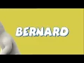 Bernard Bär Intro [DöBöDö] xD