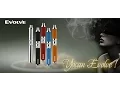 2016 Best Wax Pen with Dual Quartz Coils Yocan Evolve