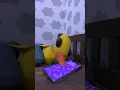 Download Lagu The Best Alarm Clock Ever🤣😻 #meme #funny #babyduck