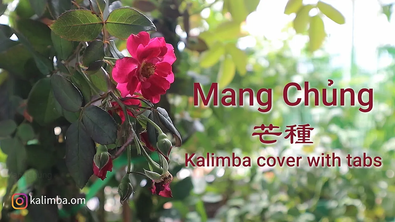 芒种 | Mang Chủng | Mang Zhong - Kalimba Cover [With Tabs]