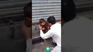                         دندنها
