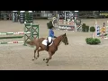 Download Lagu MANDOLIEN 28, Lanaken world championships for young horses, consolation final 5yo 125cm
