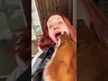 Download Lagu Knuffel met een vos. Wat hou ik van haar 🦊😍