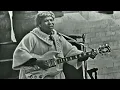 Sister Rosetta Tharpe .. 1964 .. Didn't it Rain .. Blues and Gospel train