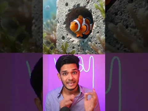 Samudra Mein 'Kachra' Kyun Phenk Rahe Hain .?