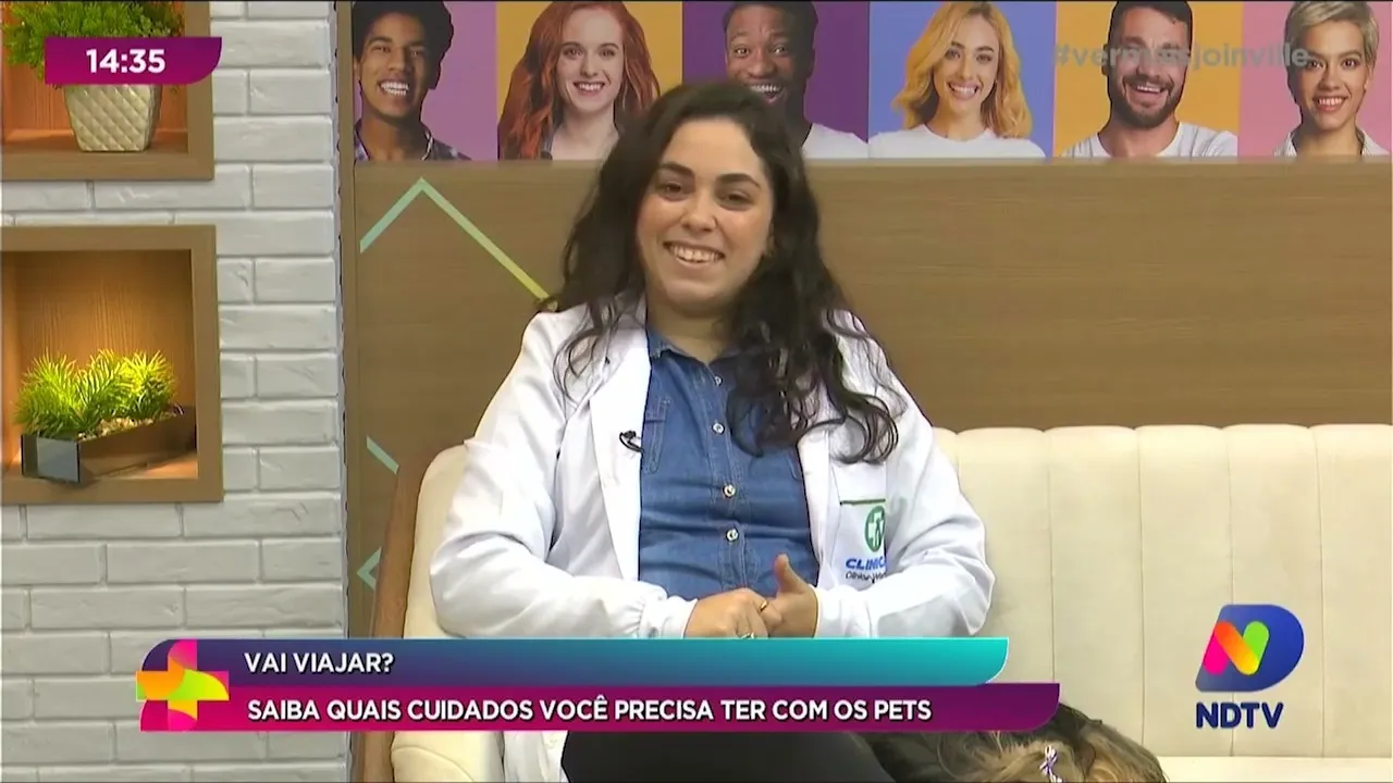 Vai viajar? Saiba quais cuidados você precisa ter com os pets