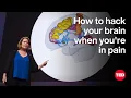 How to Hack Your Brain When You re in Pain Amy Baxter TED
