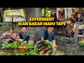 Lagu EXSPERIMENT RENDAM  IKAN DENGAN AIR TAPE SELAMA 12 JAM KEMUDIAN DI MASAK IKAN BAKAR MADU TAPE…‼️