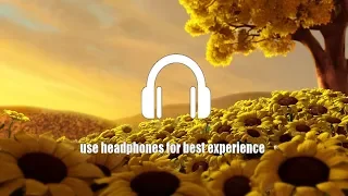 Download Post Malone, Swae Lee - Sunflower (Not Your Dope Remix)[8D Audio] MP3