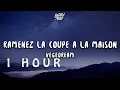 Download Lagu [ 1 HOUR ] Vegedream - Ramenez la coupe à la maison lyricsparole N'golo Kante Song TikTok