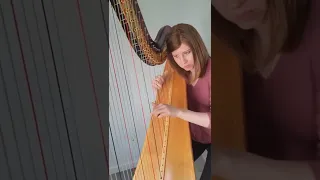 ABBA Chiquitita On Harp Shorts 