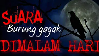 Download SUARA BURUNG GAGAK....!!! BIKIN SERAM SUASANA MP3