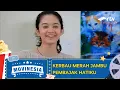 Lagu MOVINESIA RTV:  KERBAU MERAH JAMBU PEMBAJAK HATIKU
