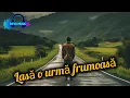 Lagu Deyu Music - Lasă o urmă frumoasă | Oficial Music | 2025