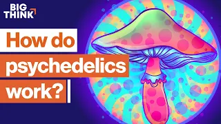 Psychedelics The scientific renaissance of mind-altering drugs Sam Harris Michael Pollan more