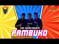 Download Lagu ‼️PAMBUKO BANTENGAN‼️PUTRA_MAHESWARA SUPPORT NIKEN MEYLIA \u0026 DIAS PUTRA FURNETO \u0026 AZAM ALUMUNIUM