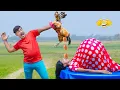 Funniest Fun Top New Comedy Video 2025 😂 amazing best of funny video Episode 691 Bidik Fun Tv