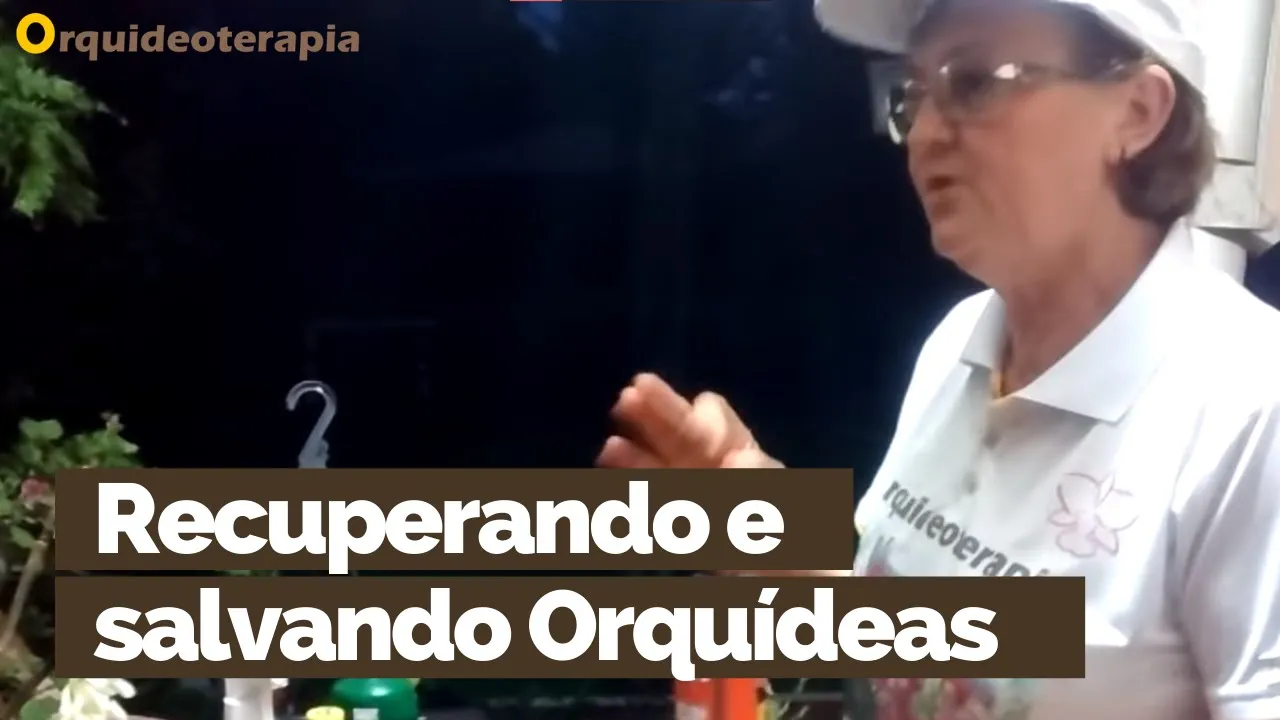 RECUPERANDO E SALVANDO ORQUÍDEAS