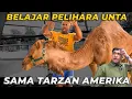 Download Lagu TERNYATA TARZAN AMERIKA PUNYA UNTA JUGA DI RUMAHNYA..!