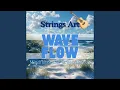 Wave Flow