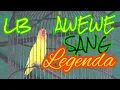 Download Lagu LB AWEWE sang Legenda yang masi stabil Juara