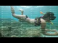 Lagu Sexy young woman in bikini and snorkeling gear swimming in the ocean underwater.